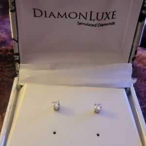 Silver Stud Earrings